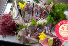 別注料理／関鯵の姿造り